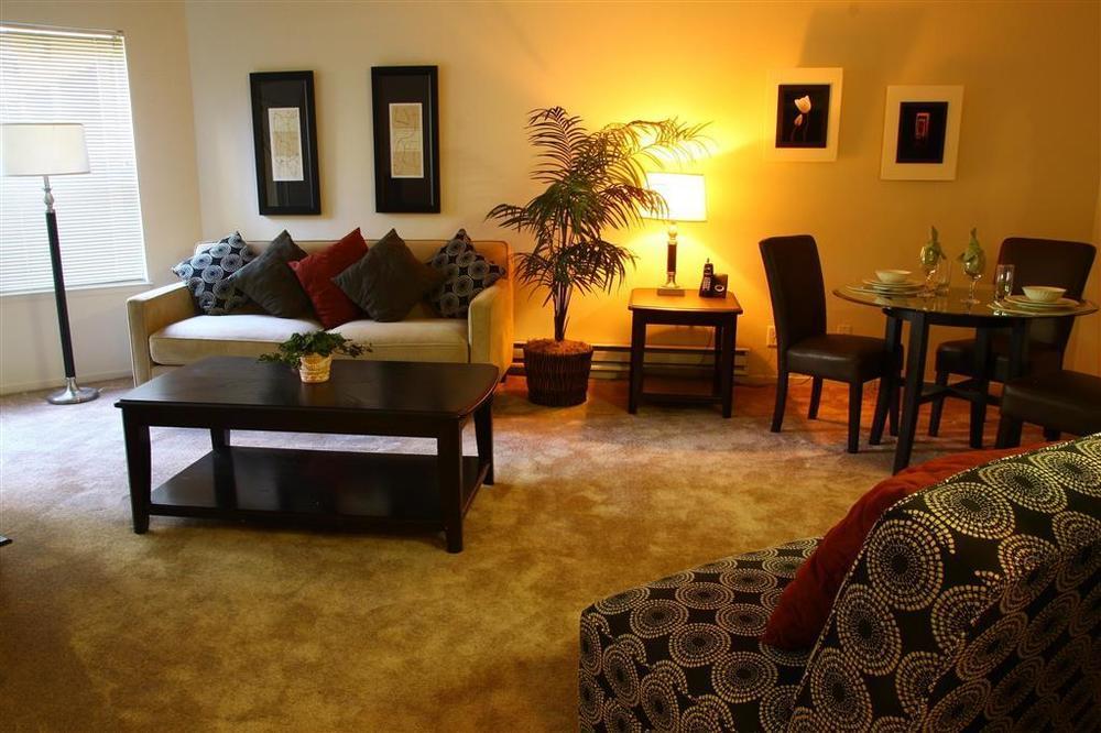 Oakwood 101 San Fernando Hotell San Jose Rum bild